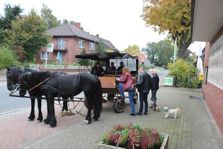 Der Lüneburger Fiaker